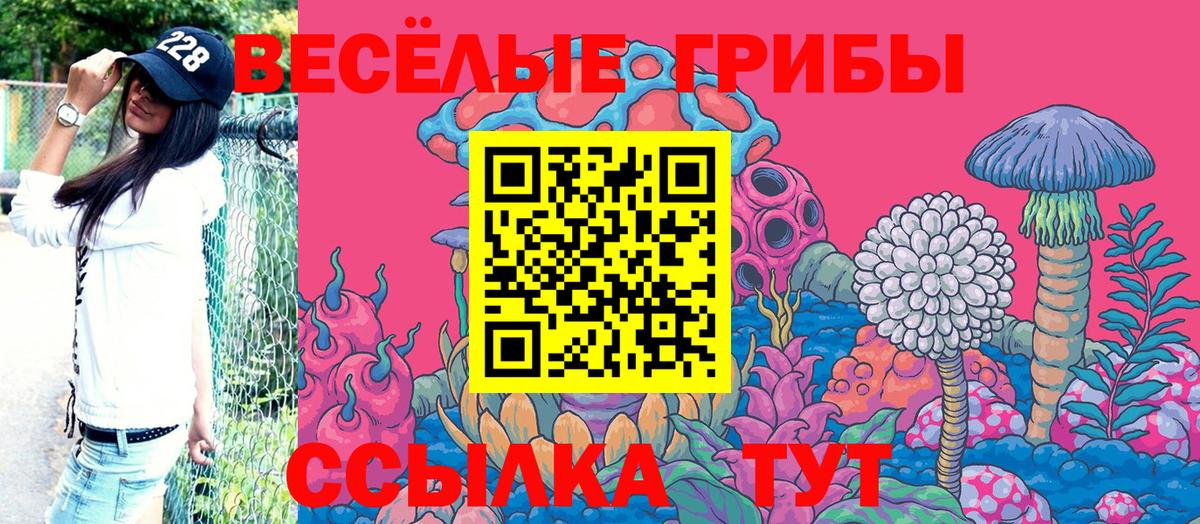 Зеленогорск  Псилоцибиновые грибы GOLDEN TEACHER  Вход с VPN 