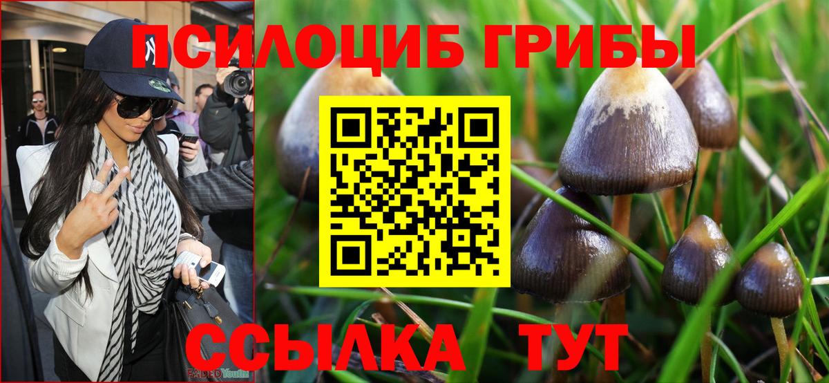 Галлюциногенные грибы мицелий Зеленогорск